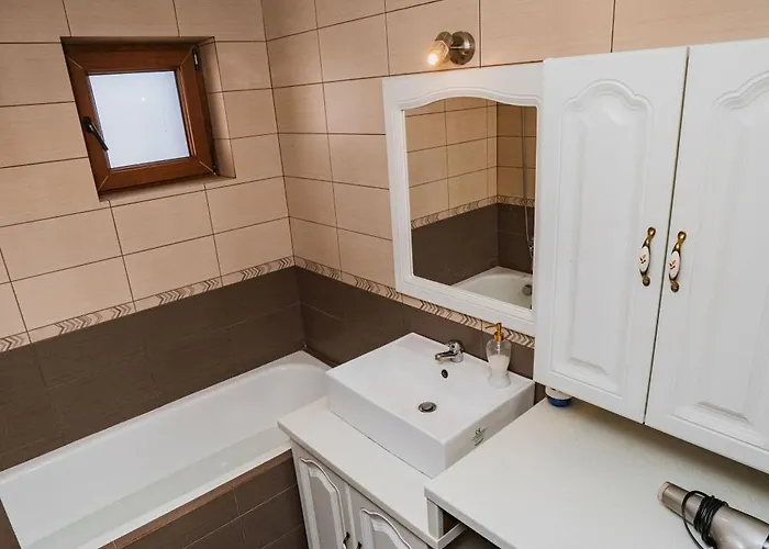 Apartment Diana Timisoara